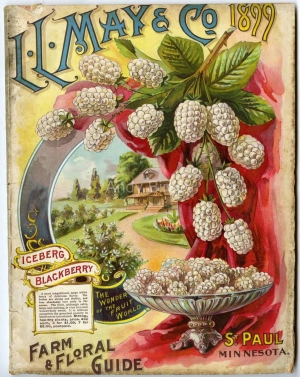 LLMay1899Farm