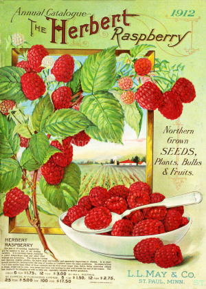 LLMayRaspberry