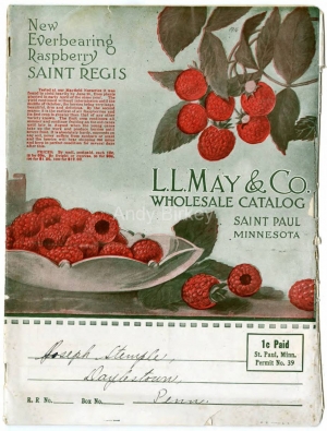 LLMayRespberry1