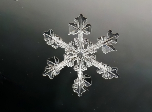 Snowflake4