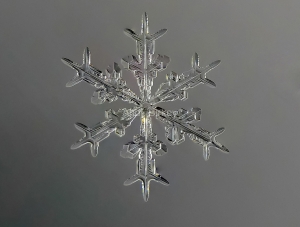 Snowflake8