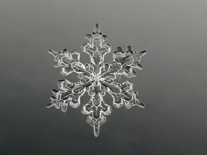 Snowflake7