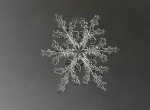 Snowflake5