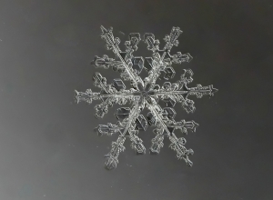 Snowflake5